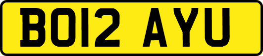 BO12AYU