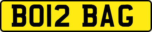 BO12BAG