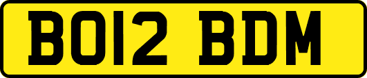 BO12BDM