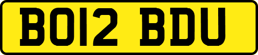 BO12BDU