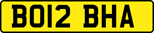 BO12BHA
