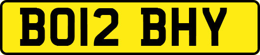 BO12BHY