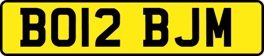 BO12BJM