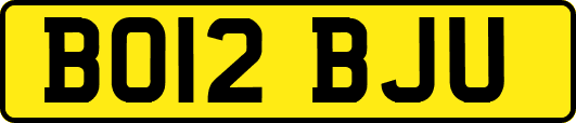 BO12BJU