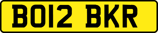 BO12BKR