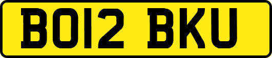 BO12BKU