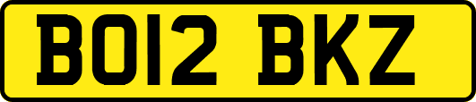 BO12BKZ