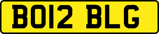 BO12BLG