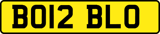 BO12BLO