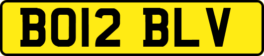 BO12BLV
