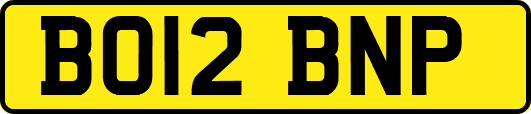 BO12BNP
