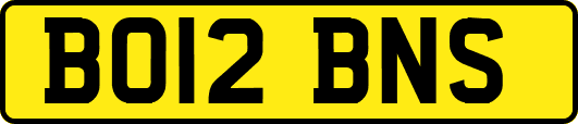 BO12BNS