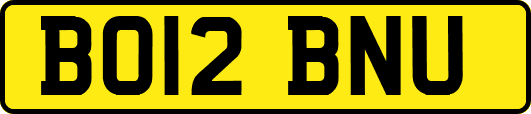 BO12BNU