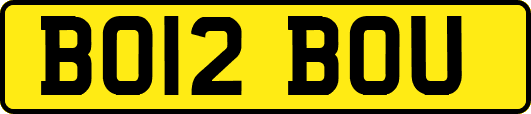 BO12BOU