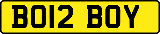 BO12BOY
