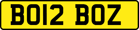 BO12BOZ