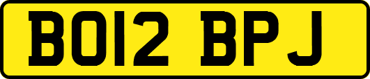 BO12BPJ