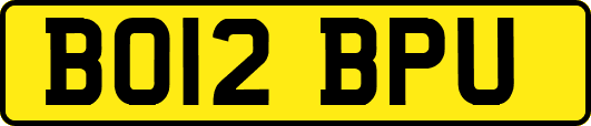 BO12BPU