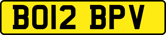 BO12BPV