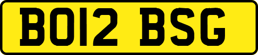 BO12BSG