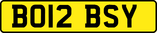 BO12BSY