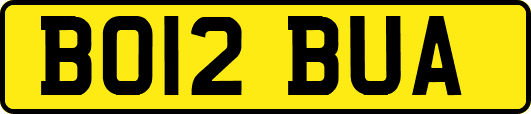 BO12BUA