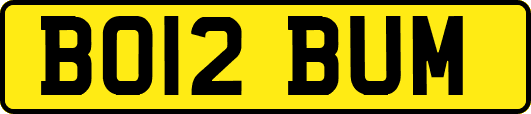 BO12BUM