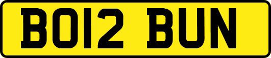 BO12BUN