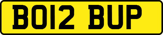 BO12BUP