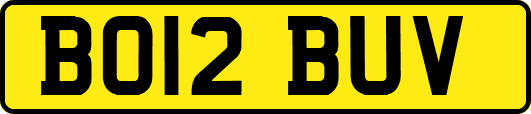 BO12BUV