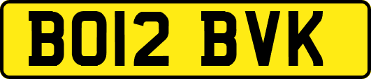 BO12BVK