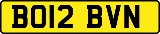 BO12BVN