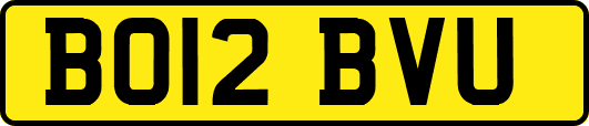 BO12BVU
