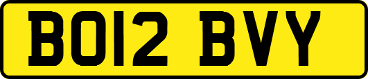 BO12BVY
