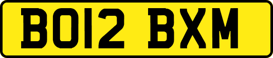 BO12BXM