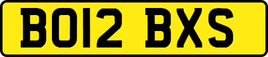 BO12BXS