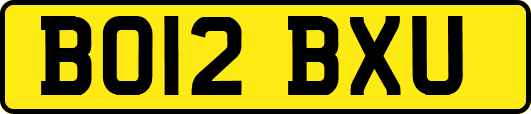 BO12BXU