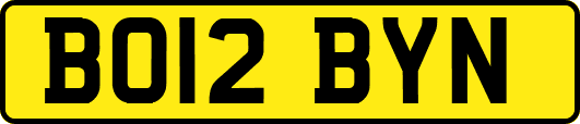 BO12BYN