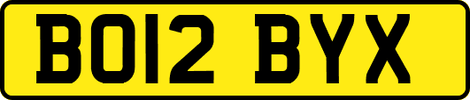 BO12BYX