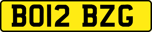 BO12BZG
