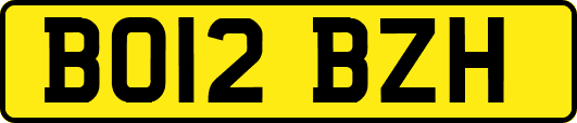 BO12BZH