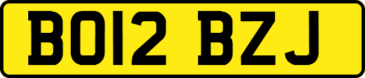 BO12BZJ