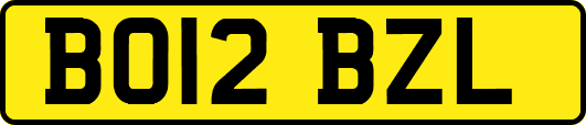 BO12BZL