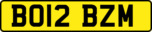 BO12BZM
