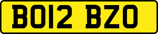 BO12BZO