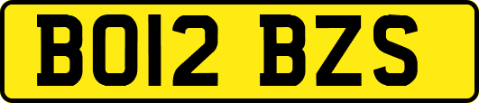 BO12BZS
