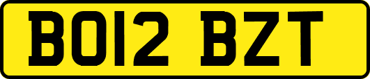 BO12BZT