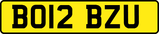 BO12BZU