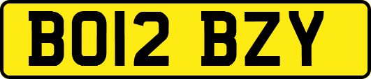 BO12BZY