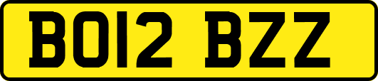BO12BZZ